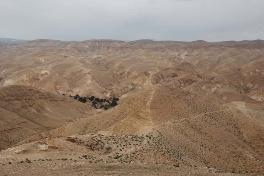 From Tel Aviv: Dead Sea Visit & Desert Safari - From Tel Aviv to the Judean Desert