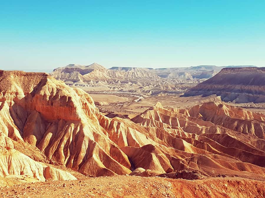 From Tel Aviv: Dead Sea Visit & Desert Safari - Floating in the Dead Sea