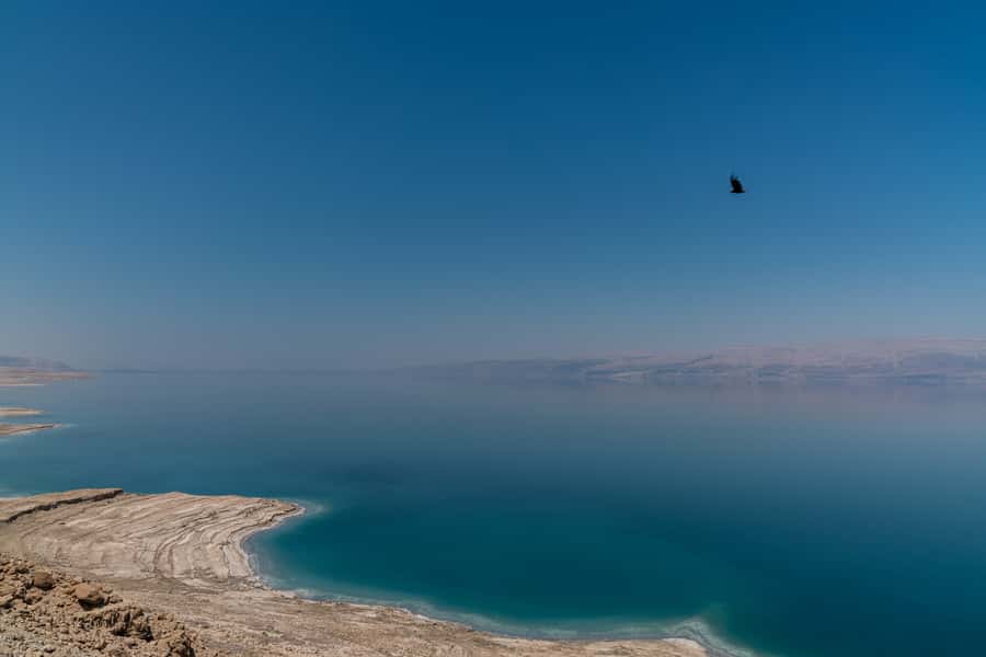 From Tel Aviv: Dead Sea Visit & Desert Safari - How much value do you get for $160?