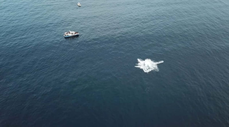 From Tromsø: All-Inclusive Whale & Orca Safari - Seasickness, cold, and other practical concerns