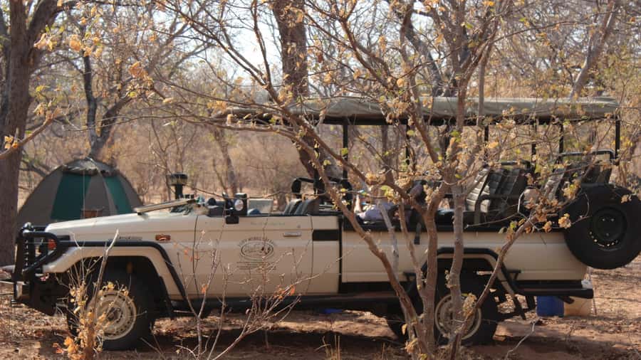 From Victoria Falls: Sunrise to Sunset Chobe Safari - Why this Chobe day trip is worth considering