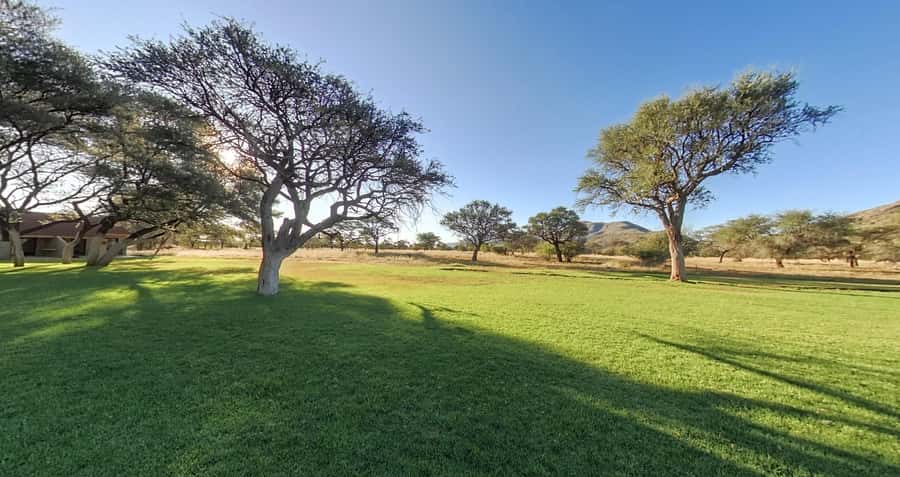 From Windhoek: Okapuka Safari Lodge Day Trip - Key points to know before booking
