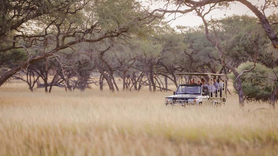 From Windhoek: Okapuka Safari Lodge Day Trip - Who should book this afternoon safari?