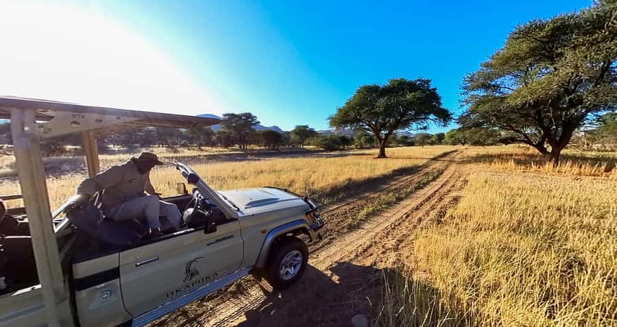 From Windhoek: Okapuka Safari Lodge Day Trip - The noon pickup from your Windhoek hotel