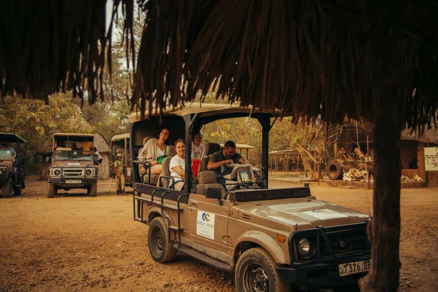 From Zanzibar: Day Selous Game Reserve Safari with Flights - Key points to know before booking