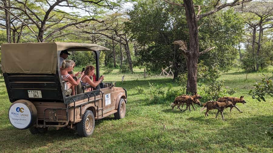 From Zanzibar: Day Selous Game Reserve Safari with Flights - What you might see in Nyerere National Park