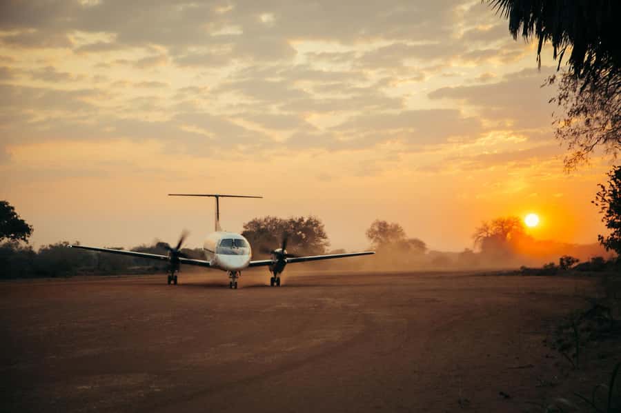 From Zanzibar: Day Selous Game Reserve Safari with Flights - Coffee, cake, and a warm bush lunch
