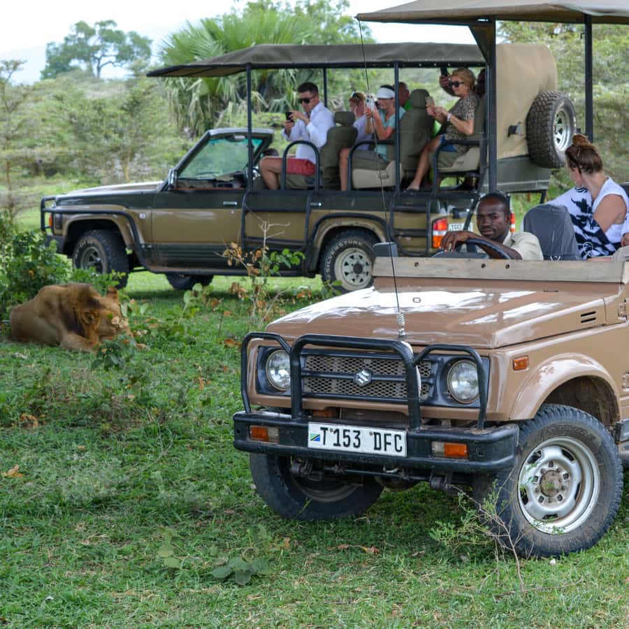From Zanzibar: Day Selous Game Reserve Safari with Flights - Is $470 good value?