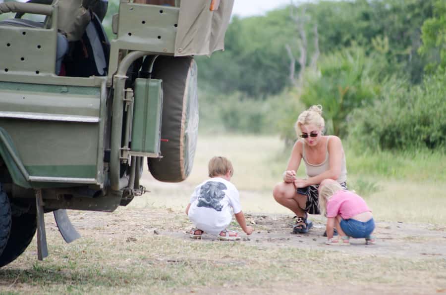 From Zanzibar: Mikumi National Park Guided Safari - The Afternoon Drive and Return Flight