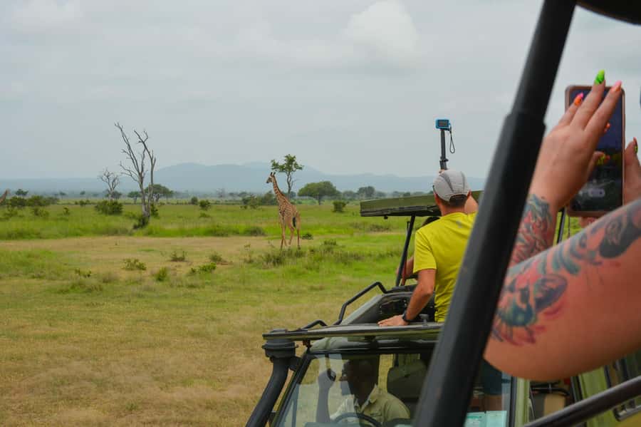 From Zanzibar: Mikumi National Park Guided Safari - Who Will Enjoy This Safari Most