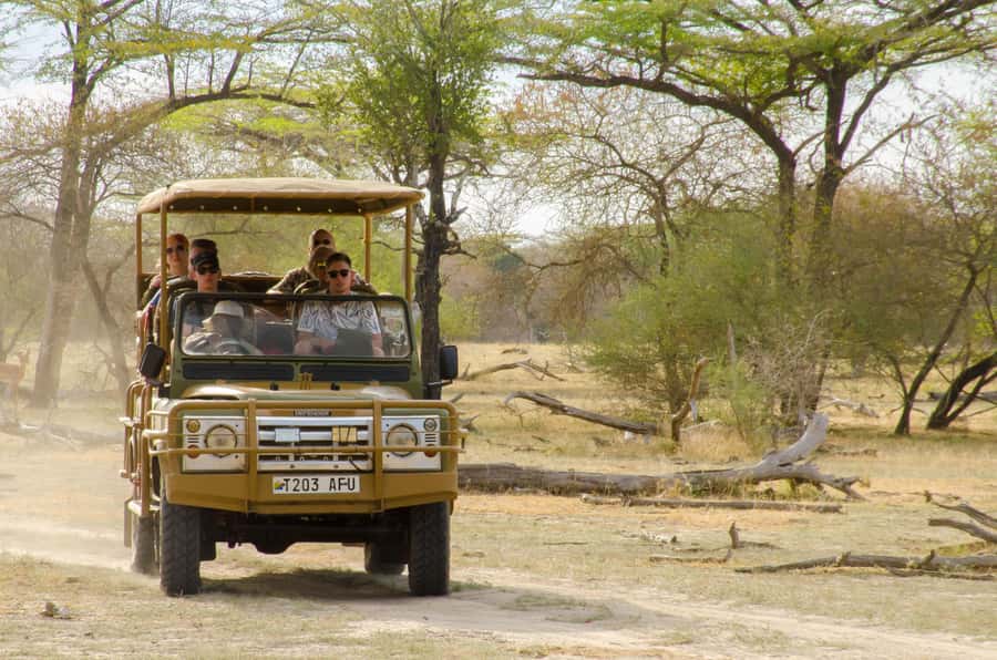 From Zanzibar: Mikumi National Park Guided Safari - Practical Ways to Improve Your Day