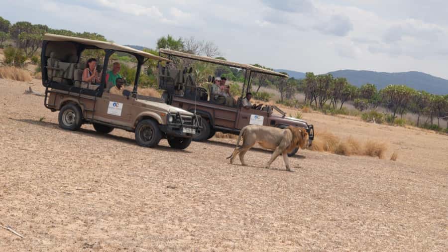 From Zanzibar: Mikumi Safari Day Trip with Flights and Meal - Is $451 a Fair Price?