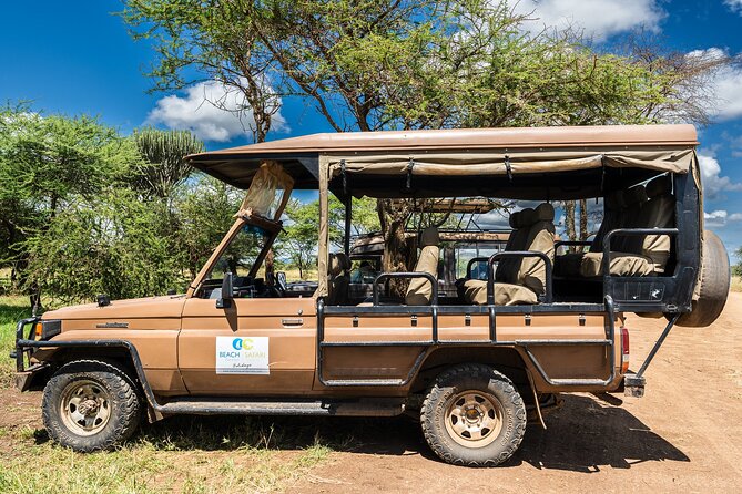 From Zanzibar: Mikumi Safari Day Trip with Flights and Meal - The Morning Game Drive: What You Might See
