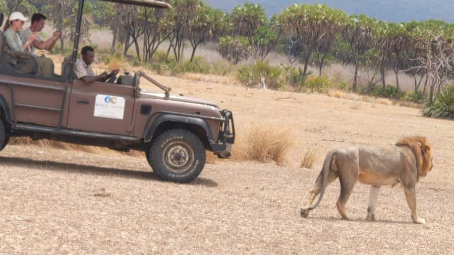 From Zanzibar: Mikumi Safari Day Trip with Flights and Meal - Comfort, Clothing, and What to Pack