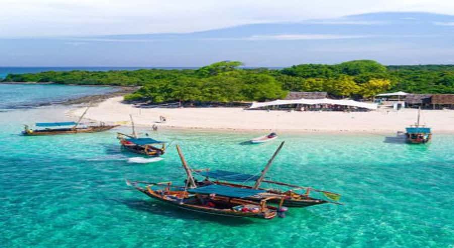 From Zanzibar: Safari Blue Snorkeling Trip with Lunch - Key points to know before booking