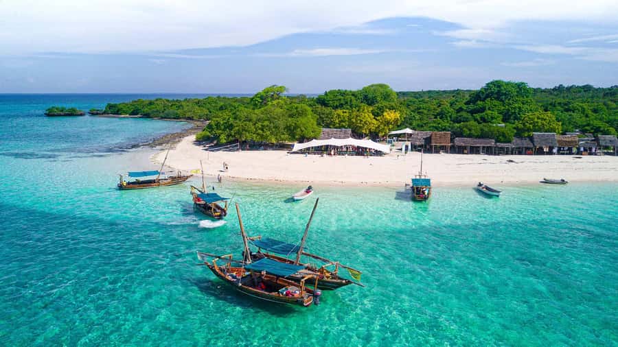 From Zanzibar: Safari Blue Snorkeling Trip with Lunch - How much time do you actually get?