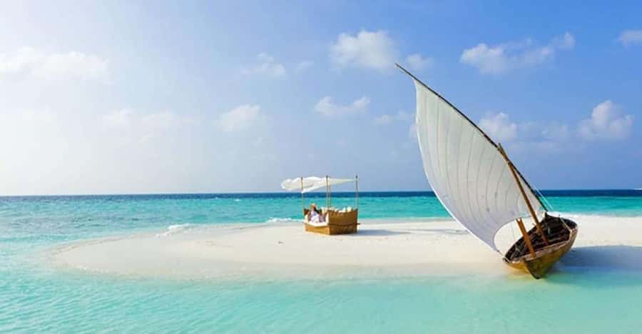 From Zanzibar: Safari Blue Snorkeling Trip with Lunch - Group size, guides, and the feel of the boat