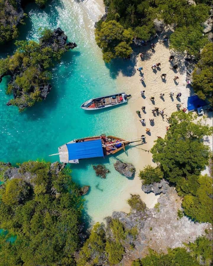 From Zanzibar: Safari Blue Snorkeling Trip with Lunch - What is included for $99