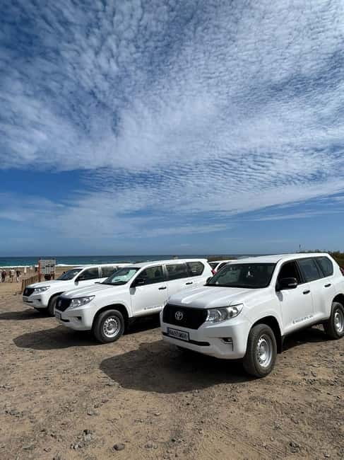Fuerteventura: Cofete Safari - Key points to know before you book