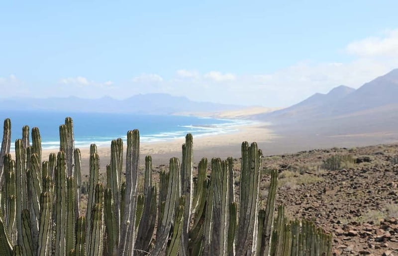 Fuerteventura: Cofete Safari - The Mirador de Cofete, 20 minutes above the coast