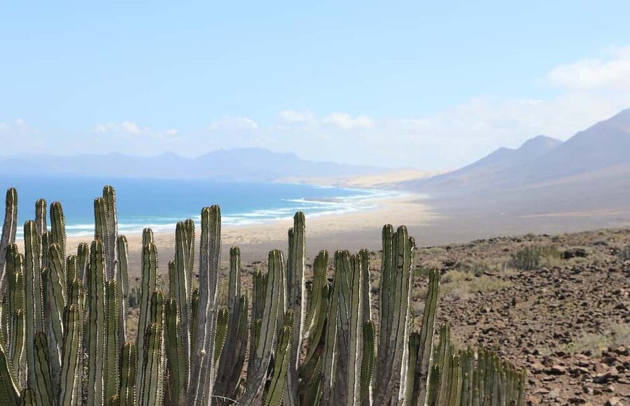 Fuerteventura: Jandía Natural Park & Cofete 4x4 Safari - The 45-minute ride into the park