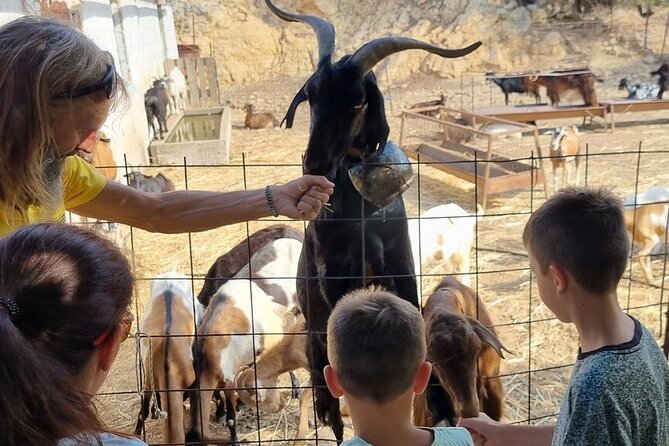Full Day 4x4 Self-Drive Safari Tour in Crete with BBQ Lunch - What the $126.76 price really covers