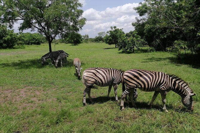 Full-Day Accra Safari and Boat Cruise Private Tour - Shai Hills, animals, caves, and a climb for views