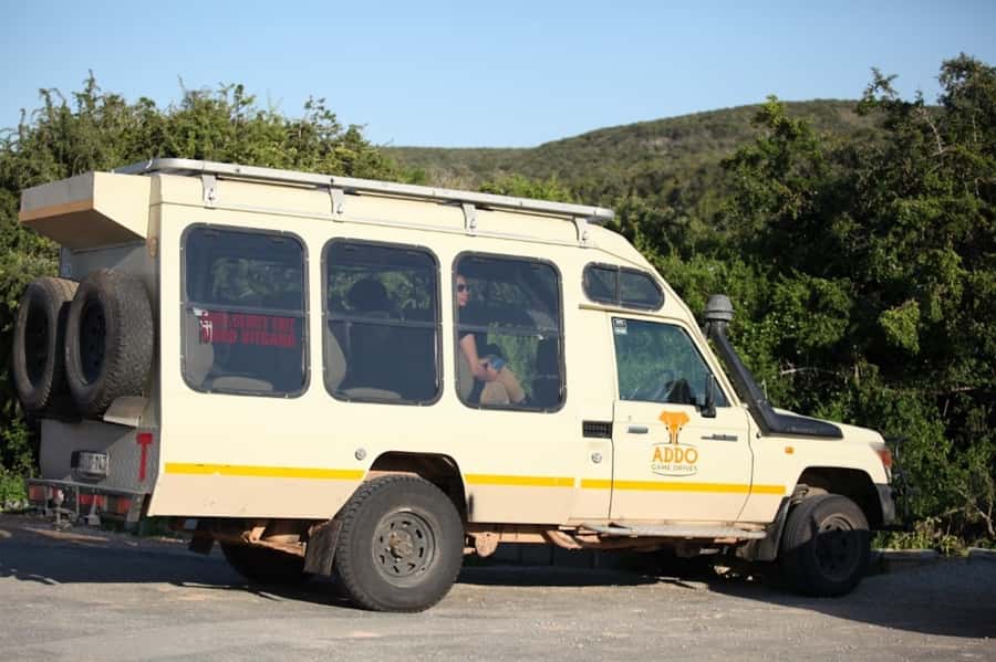 Full-Day All Inclusive Safari with Traditional Braai Lunch - Waterholes and the best chance for elephants