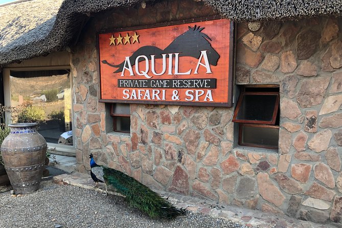 Full Day Big 5 Aquila Safari Private Transfers Including Park Fee From Cape Town - Fairview wine and cheese on the return