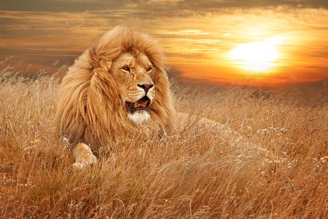 Full Day Big 5 Aquila Safari Private Transfers Including Park Fee From Cape Town - The 6:30 am pickup and drive inland