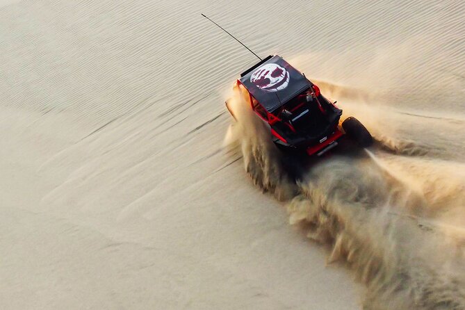 Full Day Desert Safari Doha/dinner included - Key Things to Know Before You Book