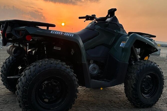 Full Day Desert Safari Doha/dinner included - Sealine Beach and the Edge of the Desert