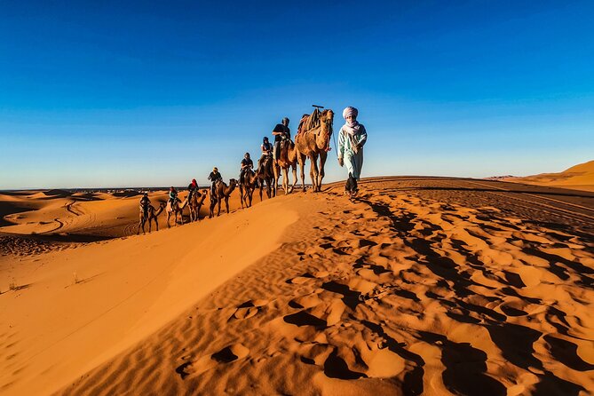 Full-Day Desert Safari with Buffet Dinner || Inland Sea Visit - Is $194 a fair price?