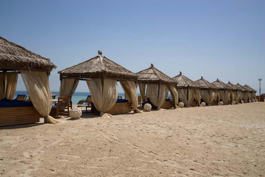 Full day desert safari with lunch or Dinner - Guides can make or break the day