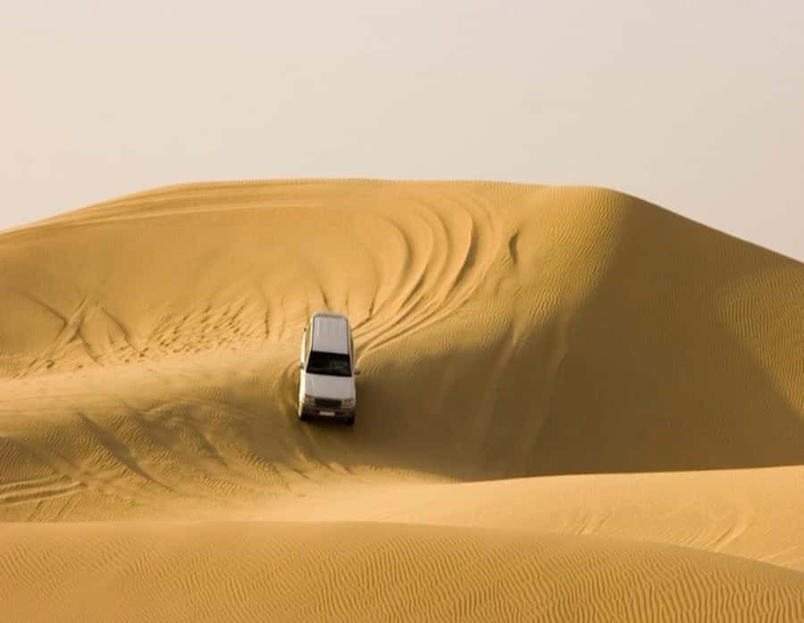 Full day desert safari with lunch or Dinner - Who should book this desert safari?