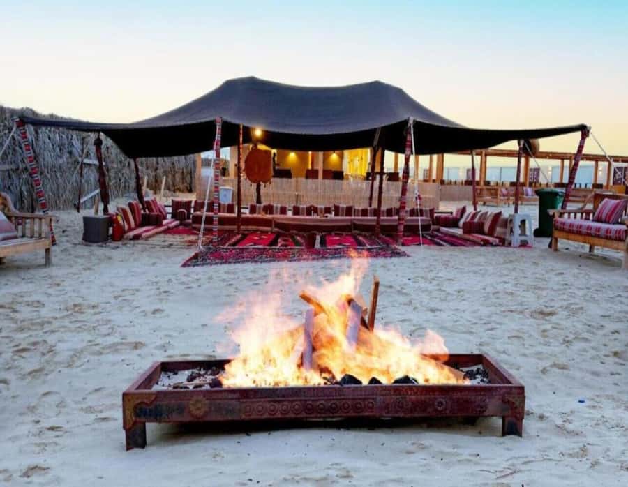 Full day desert safari with lunch or Dinner - Practical booking advice