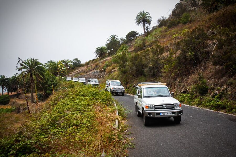 Full-Day Gomera Jeep Safari Excursion from Arona - Key points to know before booking