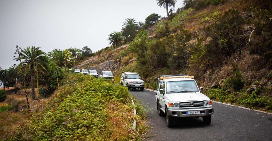 Full-Day Gomera Jeep Safari Excursion from Arona - San Sebastián and the start of the island road trip