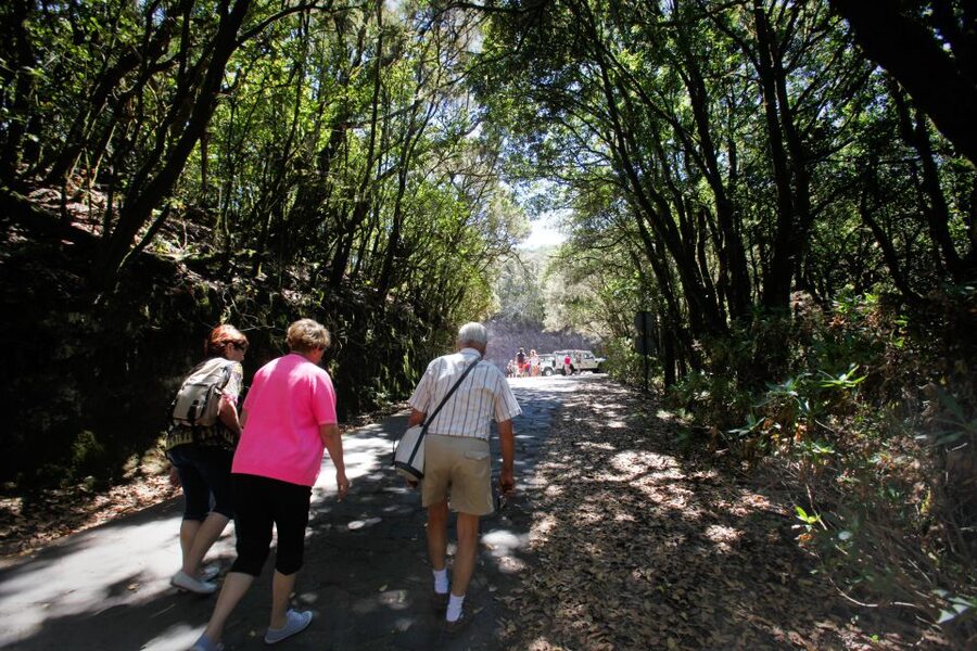 Full-Day Gomera Jeep Safari Excursion from Arona - Guides who shape the experience