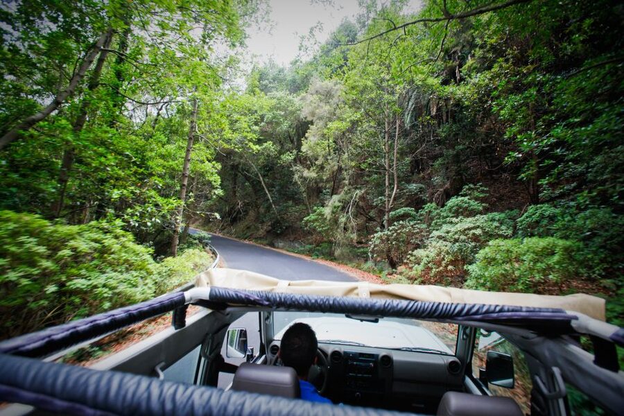 Full-Day Gomera Jeep Safari Excursion from Arona - The schedule, group size, and physical demands