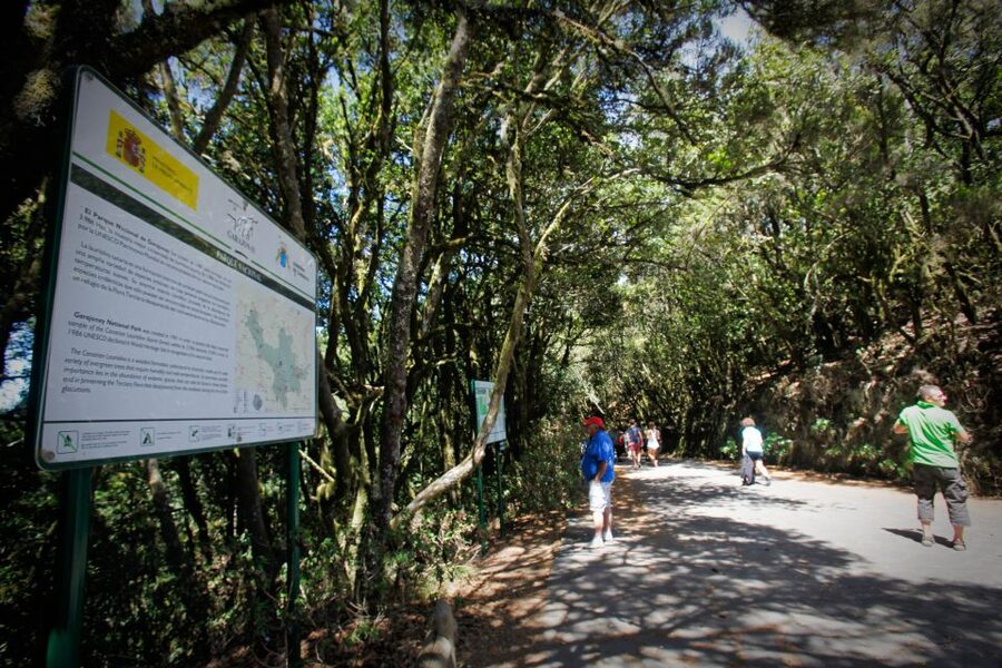 Full-Day Gomera Jeep Safari Excursion from Arona - Meeting at X-Sur and crossing from Tenerife