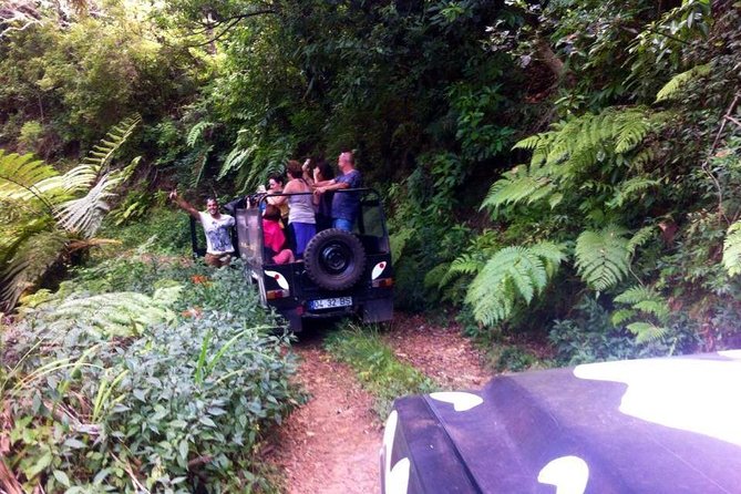 Full Day Jeep Safari East - Pico do Areeiro - Santana - Ponta de são Lourenço - Guindaste: cliffs above the Atlantic