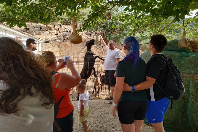 Full-Day Jeep Safari Tour with Cooking Lesson - Wood-oven lunch and the ancient plane tree in Krasi
