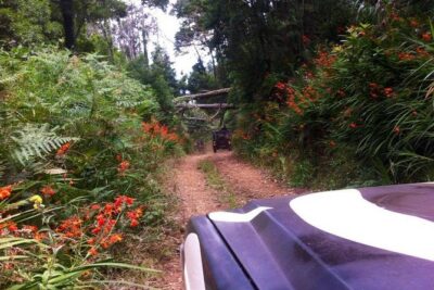 Full-Day Jeep Safari West: Fanal, Porto Moniz, Seixal, Cabo Girão