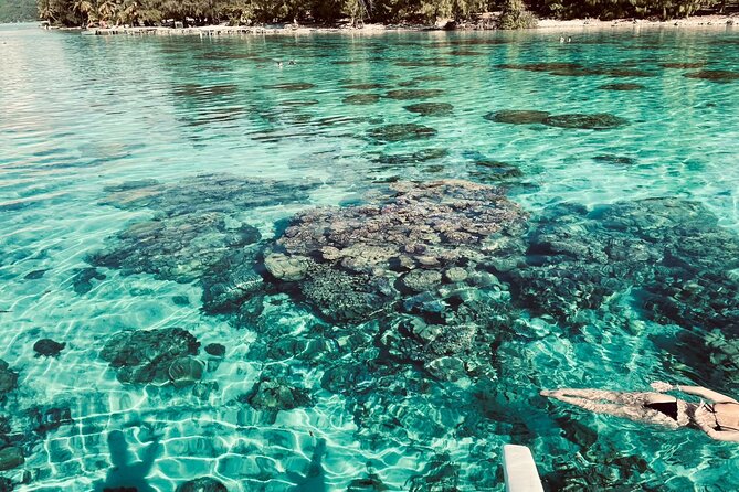 Full-day Lagoon Safari Tour with Lunch in Bora Bora - Shared tour - What you get for $205.58