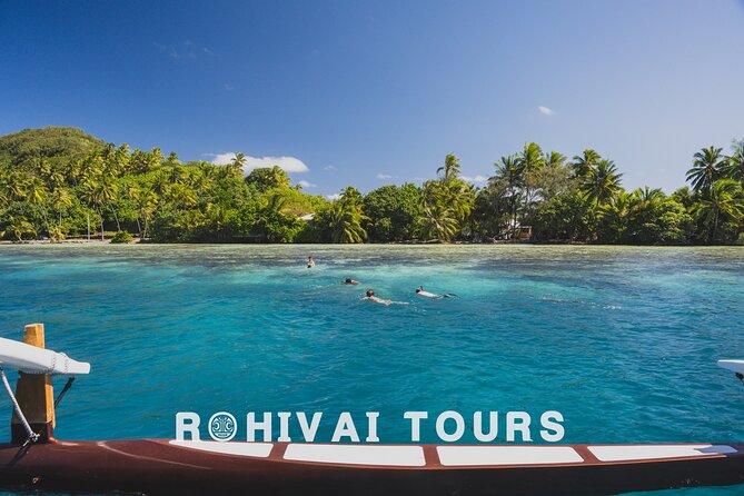 Full-day Lagoon Safari Tour with Lunch in Bora Bora - Shared tour - Sharks and stingrays in the first sanctuary