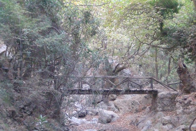 Full-Day Land Rover Safari from Rethymno with Lunch Swimming - Preveli Beach, palms, river, and sea