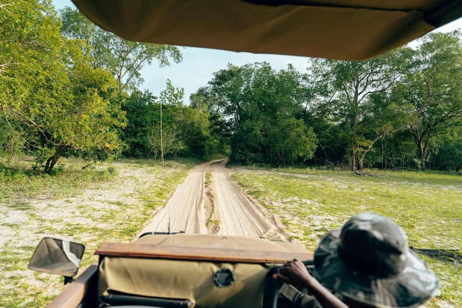 Full-Day Pilanesberg Safari from Sun City - Three hours on the first game drive