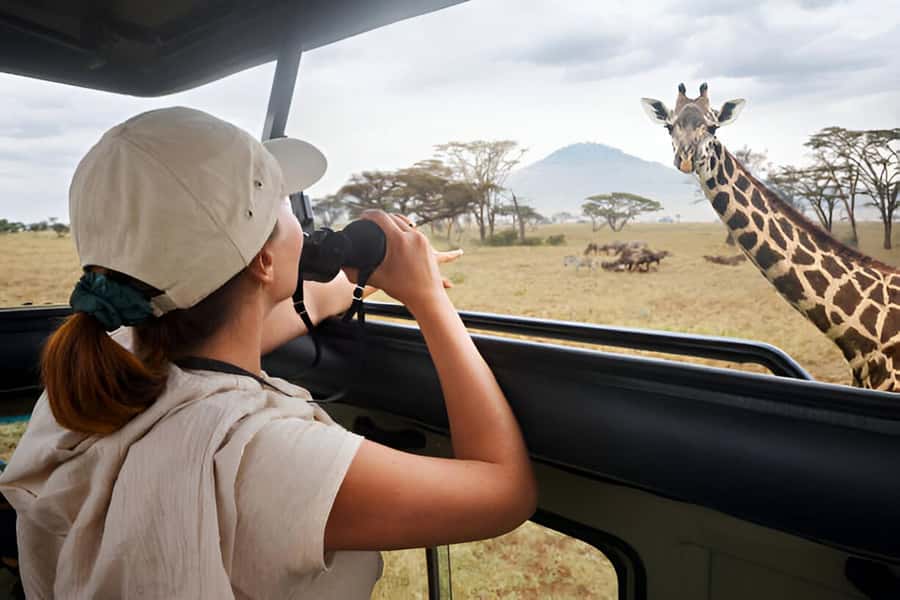 Full-Day Pilanesberg Safari from Sun City - The 8:30 AM pickup and ride to the gate