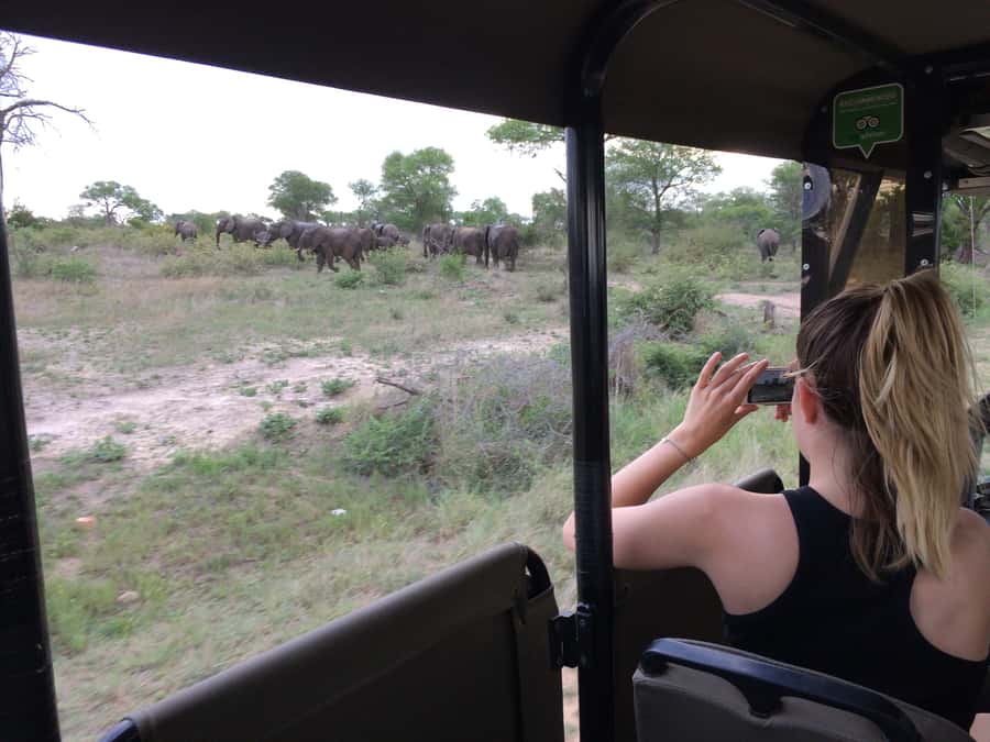 Full-Day Private Big 5 Safari in Kruger National Park - Key details that shape the day